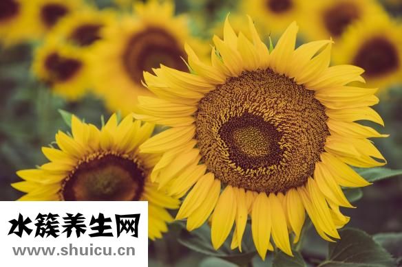 人為什么會暈車