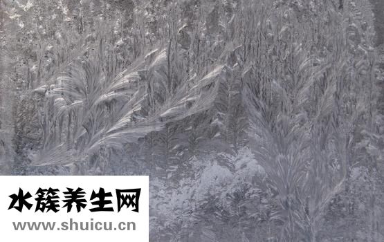 手腳冰冷是什么原因