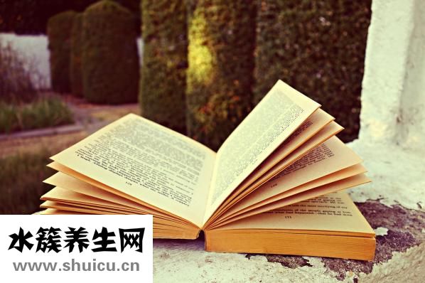 護發精油怎么用