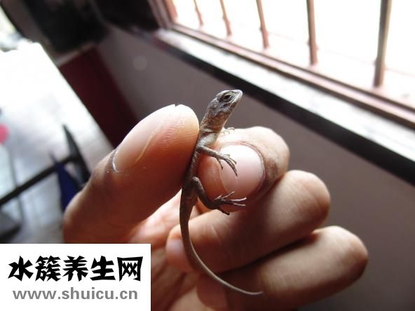 后背疼怎么回事