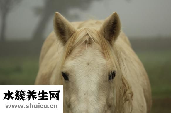 怎么煲耳機(jī)