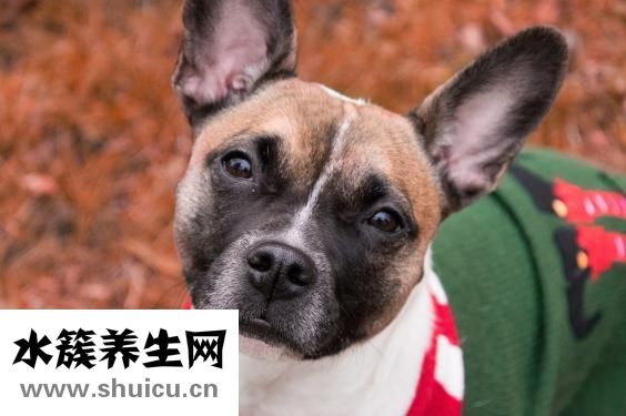 為什么會流鼻血