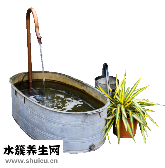 扁桃體發炎吃什么藥