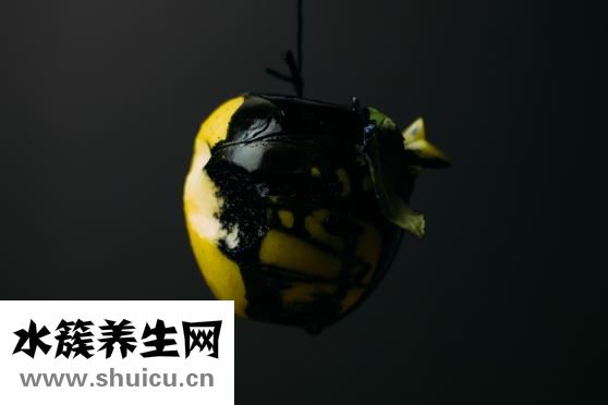 怎么去黑頭粉刺