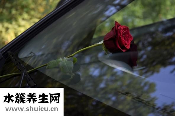 人死了是什么感覺