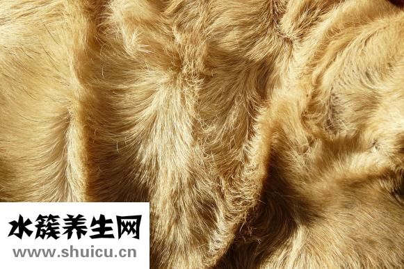 頭發分叉怎么辦