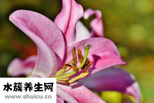 小心眼是什么意思