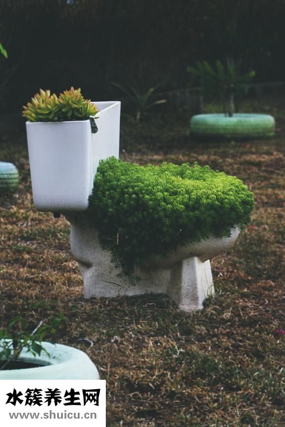 抽水馬桶堵了怎么辦