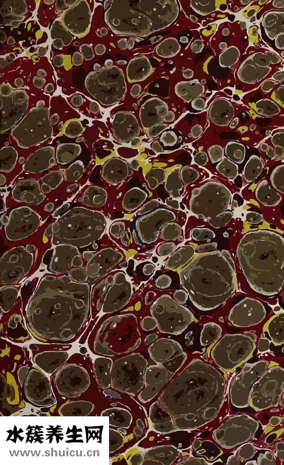 屬木的字有哪些