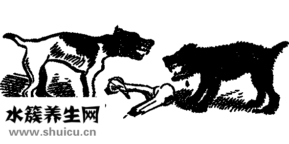 可樂(lè)雞翅怎么做