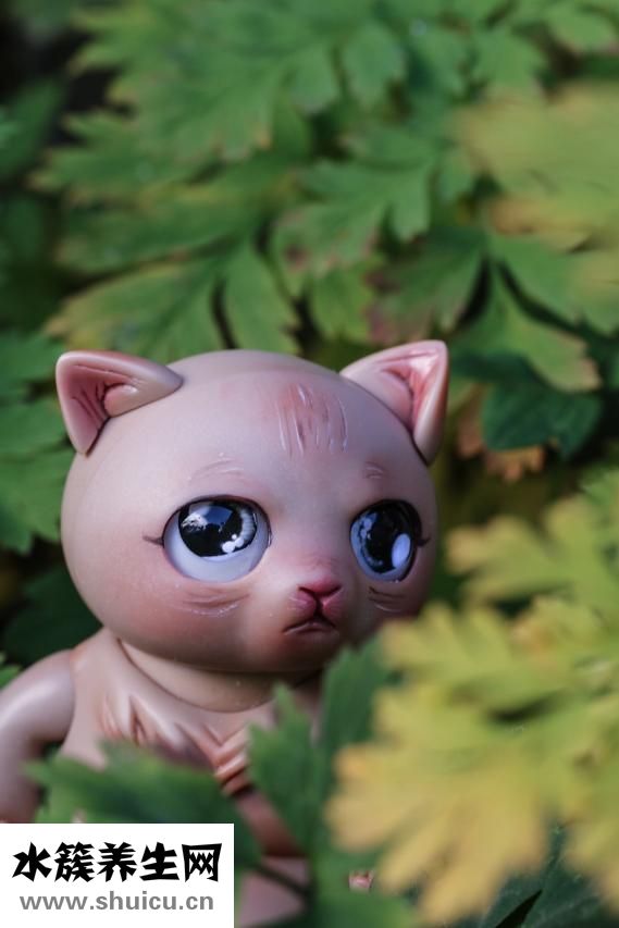 寶寶不吃奶瓶怎么辦