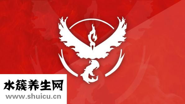 排骨怎么做好吃