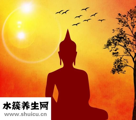 奇葩是什么意思