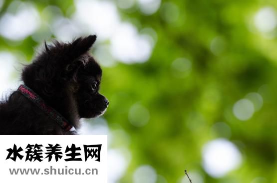 嬰兒吐奶是怎么回事