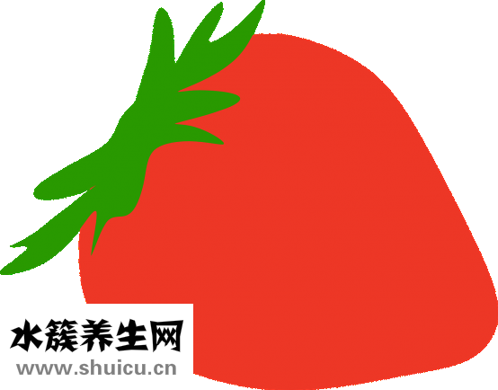 怎么養(yǎng)烏龜