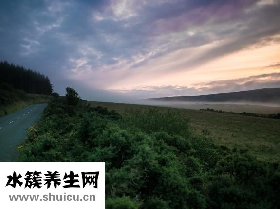 多愁善感是什么意思