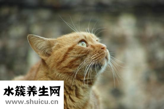 抑郁癥有哪些癥狀