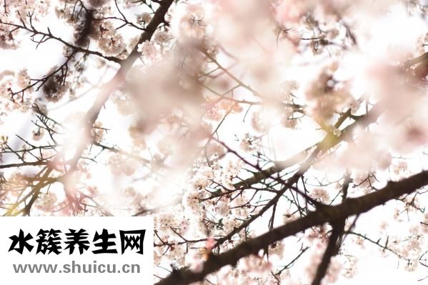 業余時間如何賺錢