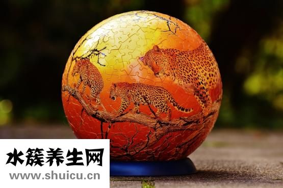 頭七是什么意思