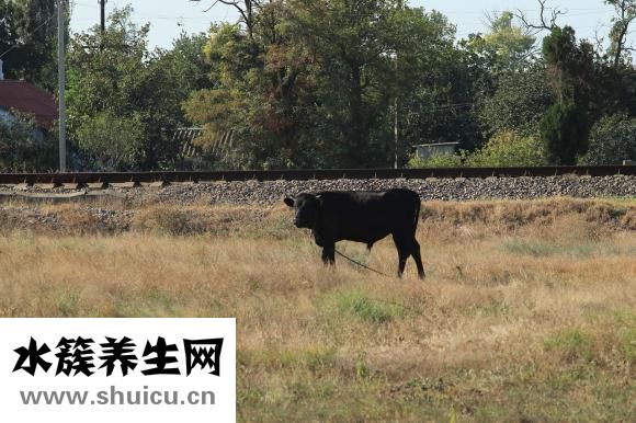 親人去世怎么安慰