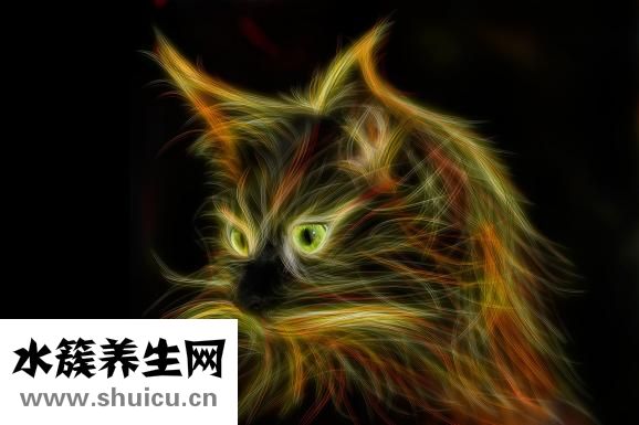 吃什么對眼睛好