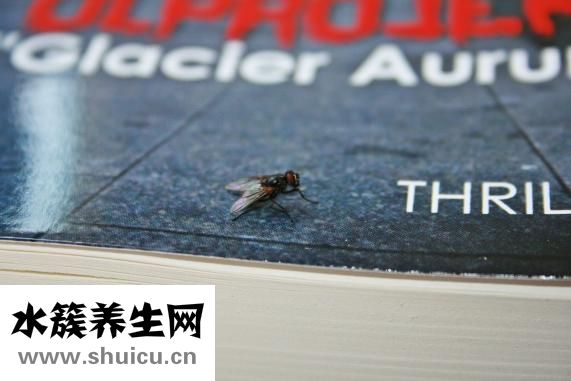 內疚是什么意思