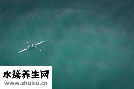 怎么才能瘦下來