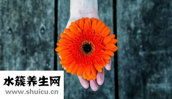 怎么才能瘦下來