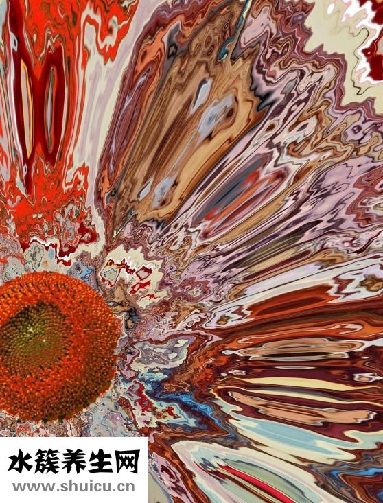 為什么會有胎記