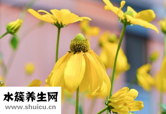 小孩子打嗝怎么辦