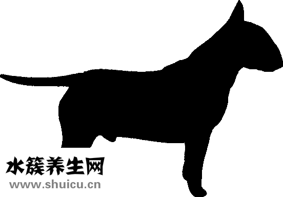 如何讓鼻梁變高