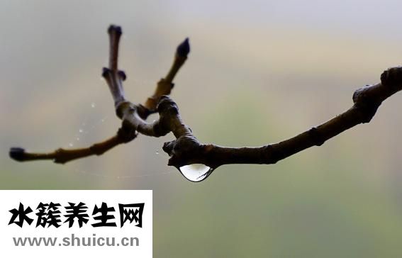 急性腸炎怎么辦