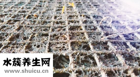 真菌感染用什么藥