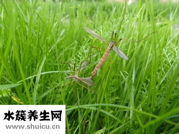 寶寶燙傷怎么辦