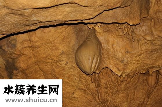 怎么樣才能豐胸