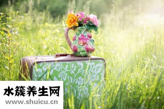 產后如何快速減肥