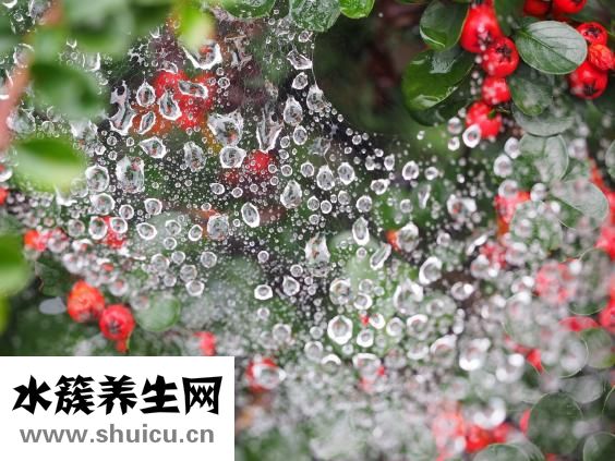 急性腸炎怎么辦