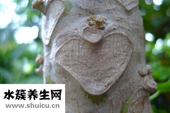 什么是心律不齊