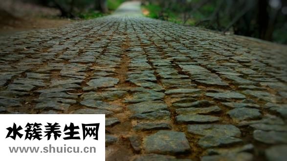 兒童抽動癥掛什么科