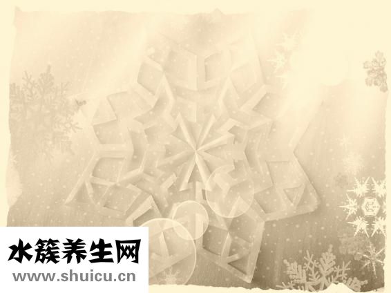 怎么樣快速瘦身