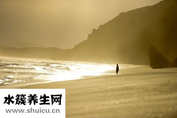 增加免疫力吃什么好