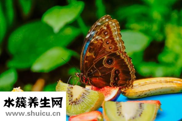 怎么快速去除皺紋