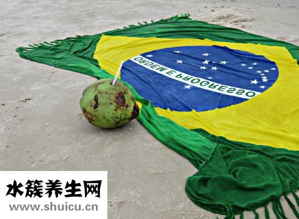 喝椰子粉有什么好處