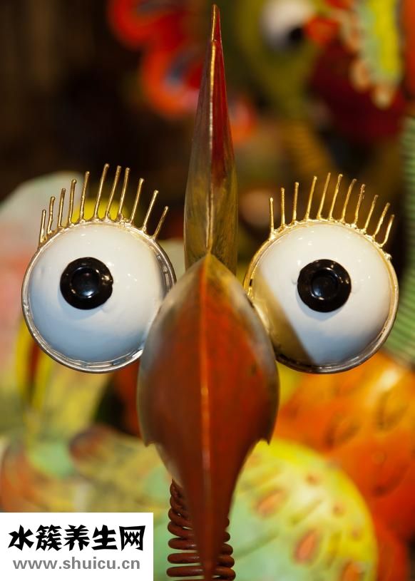 什么花適合放在臥室