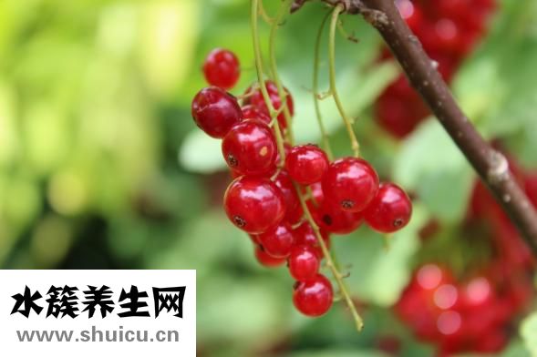 圓臉如何變瓜子臉