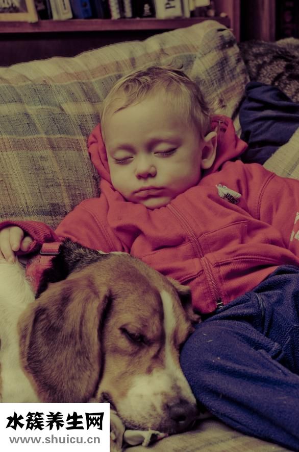 什么是有機奶粉