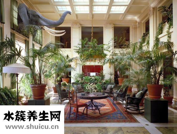 強迫癥吃什么藥