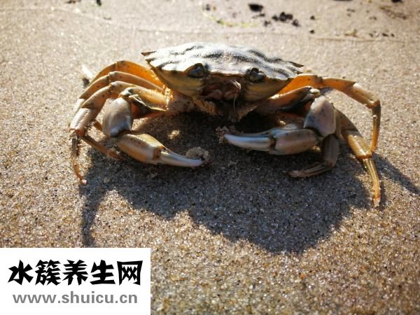 得了癌癥怎么辦