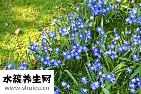 早上起來口臭怎么辦