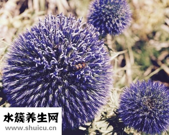 早上起來口臭怎么辦